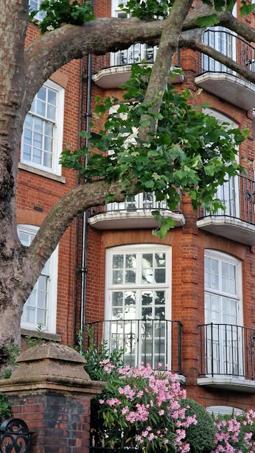 A photograph of a well-maintained front garden on Kings Road, featuring neatly trimmed box hedges along a paved pathway, lush green grass bordered by a variety of flowering plants, and a small tree wi