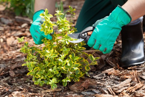 Seasonal garden maintenance by Gardener Chelsea