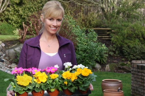 Gardener Chelsea transforming an outdoor space