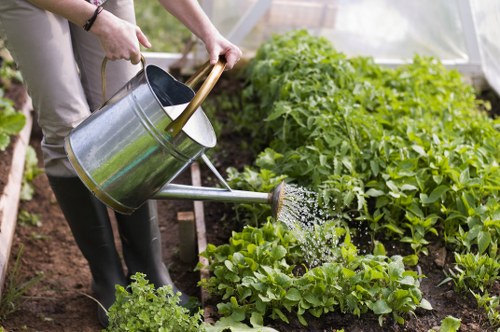 Eco-friendly gardening practices by Gardener Chelsea